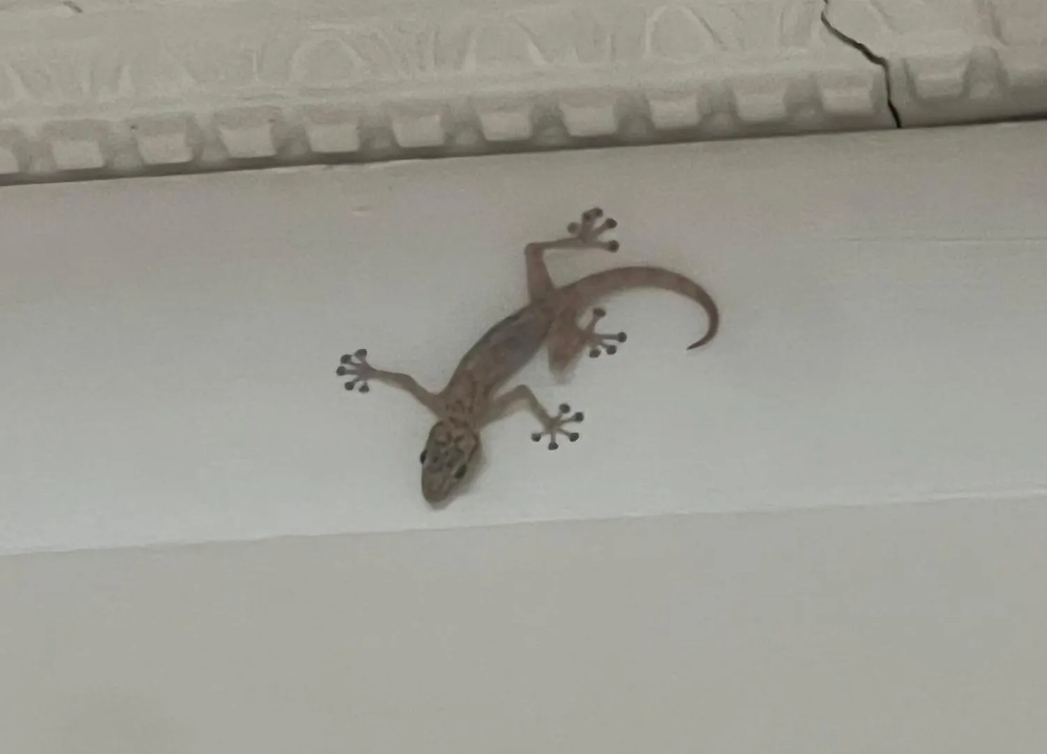 Manarat Al Aziza 3 Hotel Makkah Mecca